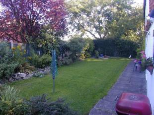 The Garden