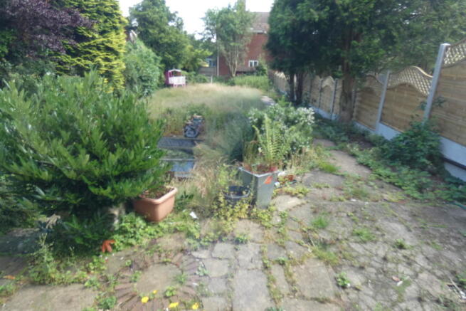 Photo 13