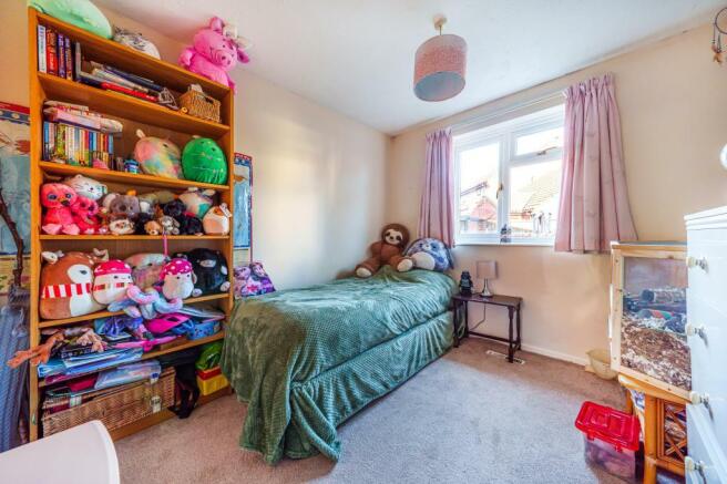 Photos
