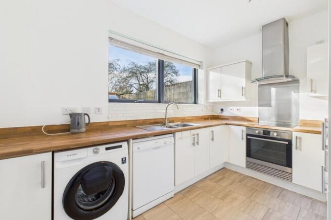 CAM03162G0-PR0365-STILL004