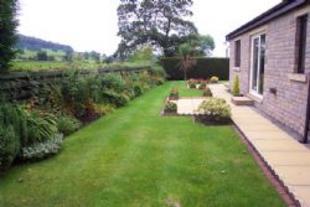GARDEN ONE