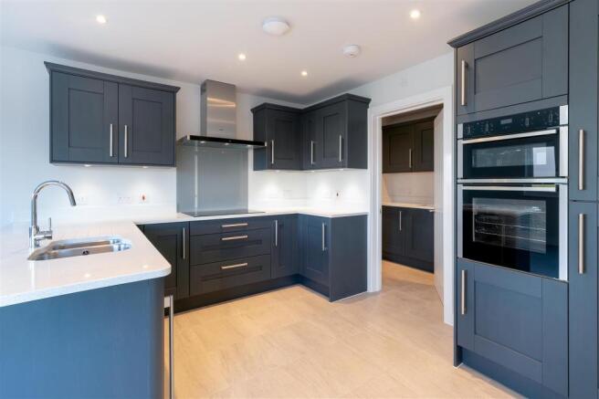 MeadowP7-04A.jpg