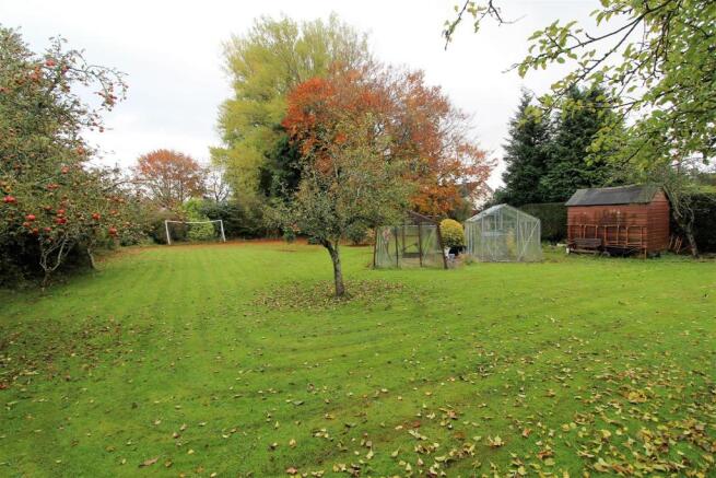 garden 4.JPG