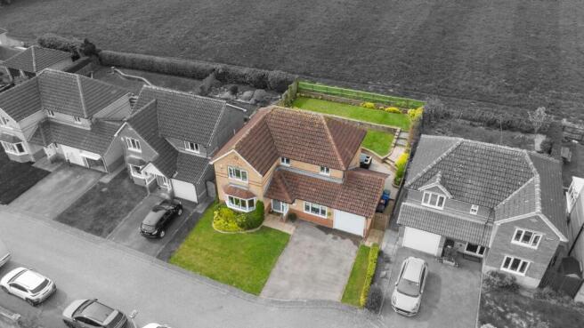 2025-04-28 11.07.38-1.jpg