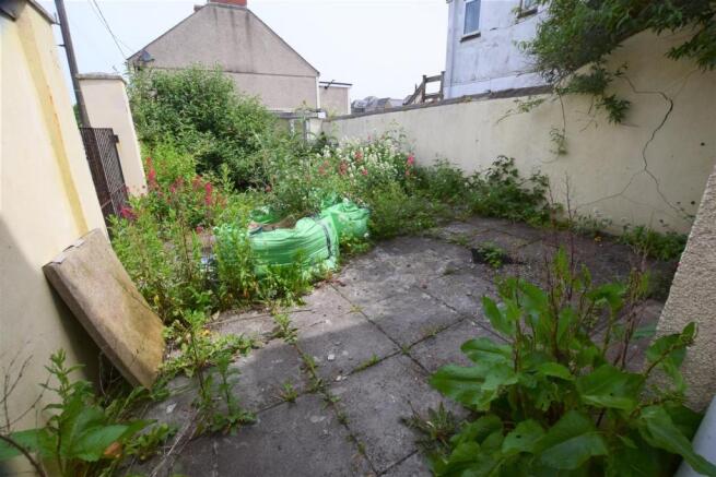 yard.jpg
