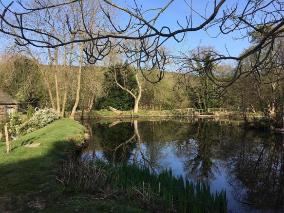 MILL POND