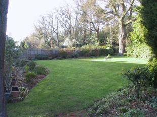 Communal Garden