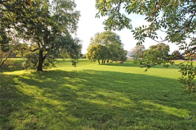 Nearby Park