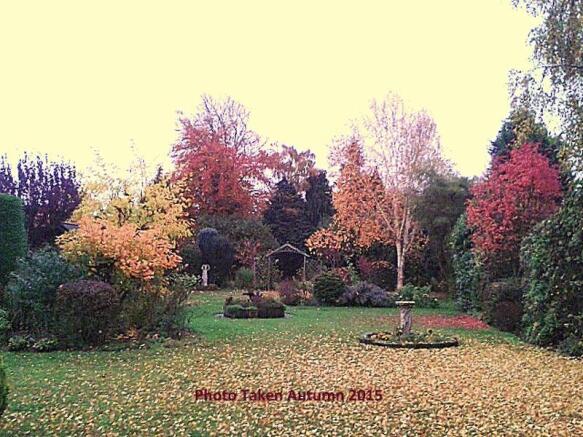 Autumn photograph