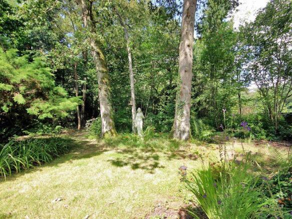 Woodland