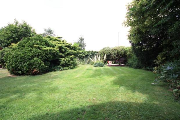 Garden Image 1