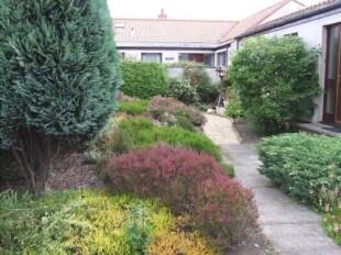 Front garden