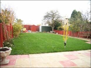 Rear garden