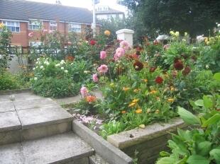 Front Garden