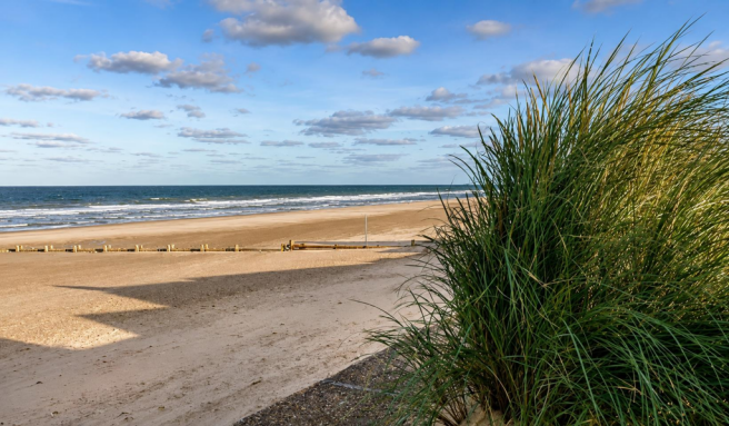 Bacton beach