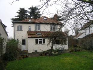 Rear Elevation