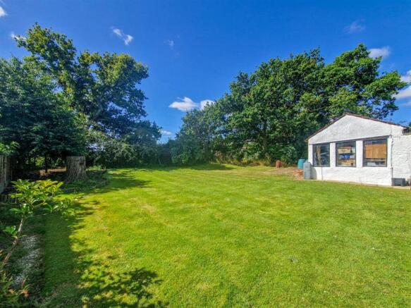 rear of the garden