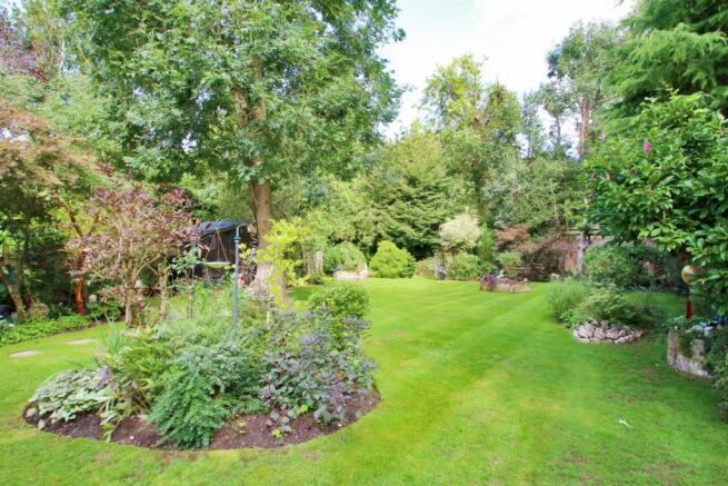 Rear Garden 3.jpg