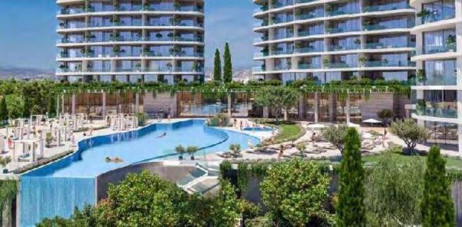 Communal Pool Area