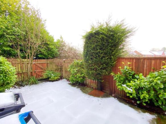 Garden 2.jpg