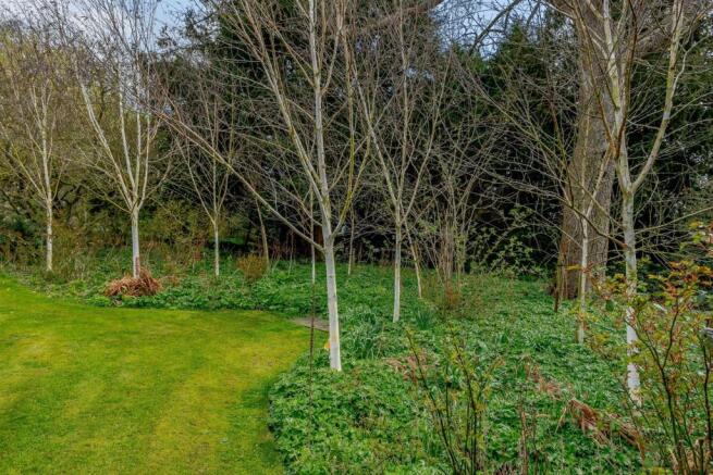 Woodland