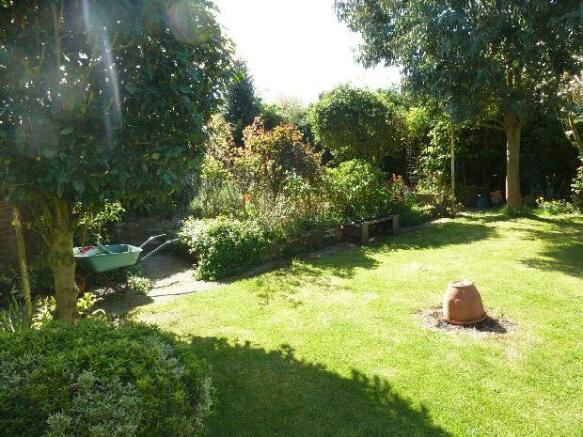 Garden photo 3