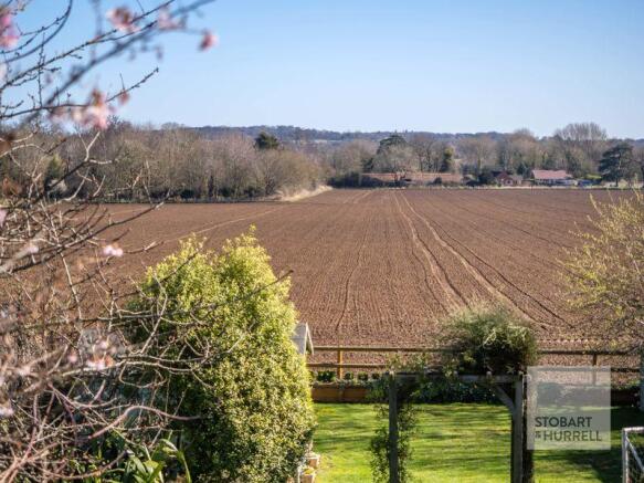 Field Views