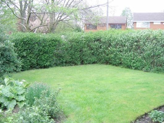 side garden