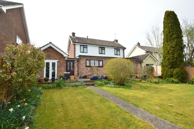 Photo 11