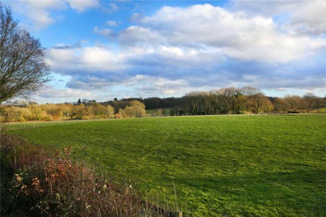 Field View
