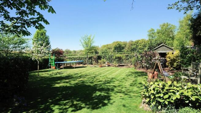 garden