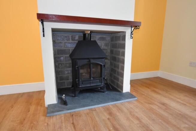 Multi fuel stove