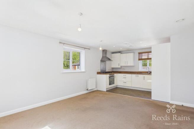 Kitchen / Living Are
