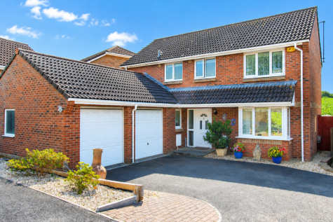 Claremont Field, Ottery St Mary