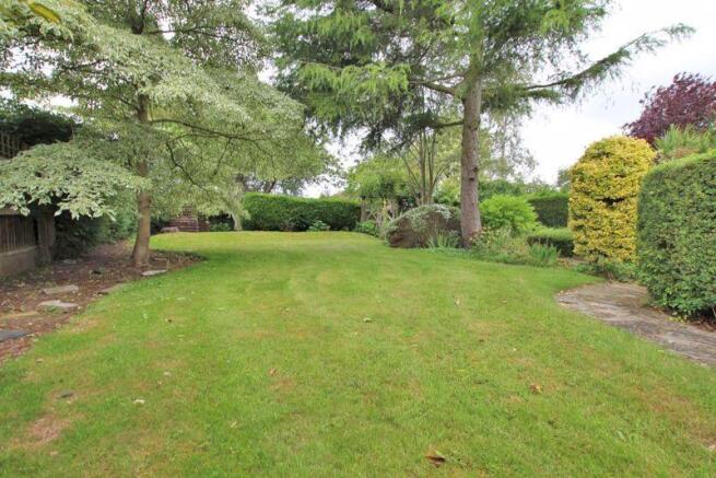 Large lawn area