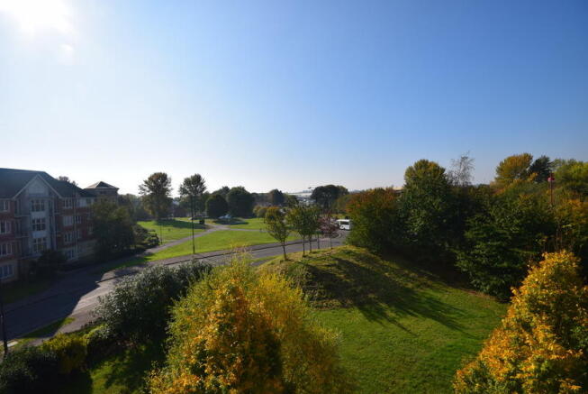 View from Bedroom Window