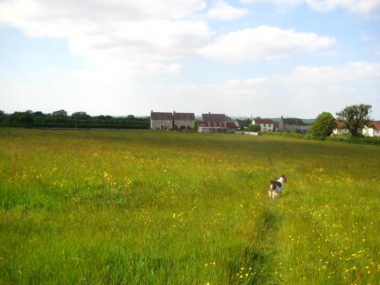 Locality