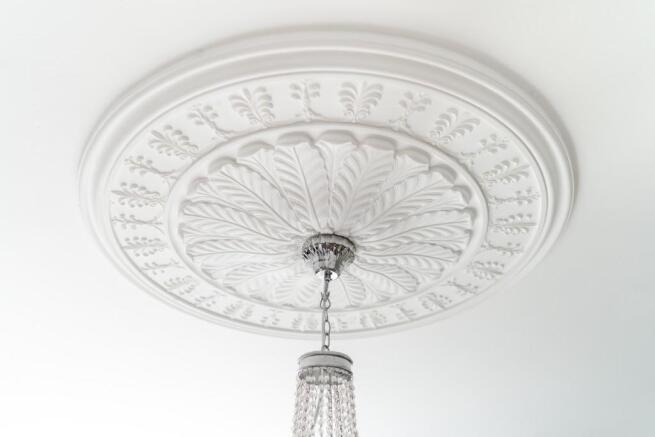 Elegant features