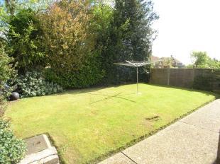 sunny rear garden