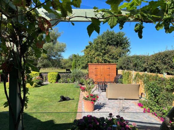 Garden from the summer