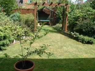 Garden Shot 3