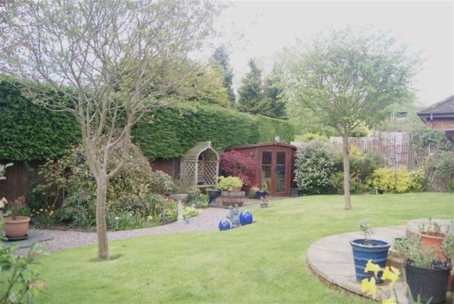 Photo 6