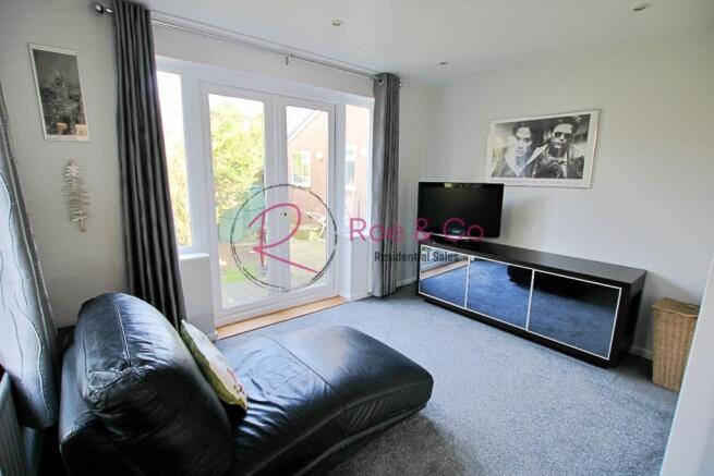 Lounge/Bedroom 4