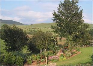 Garden 2