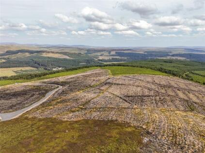 Catcleugh Forest, Nr Rochester, Redesdale, Northumberland