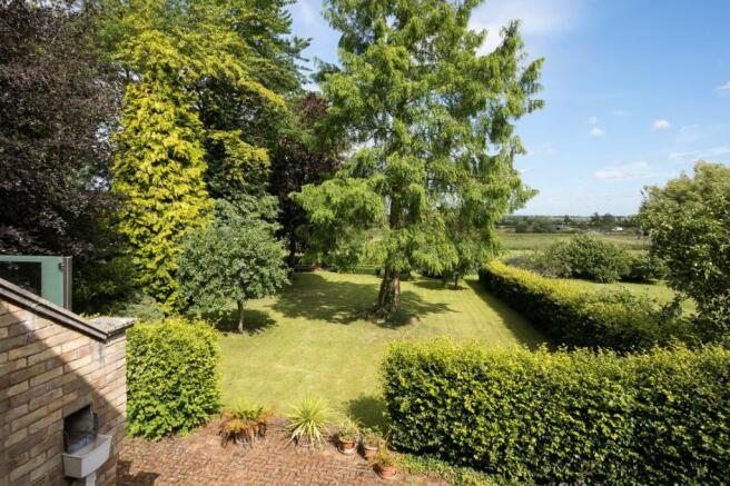 Mature Garden