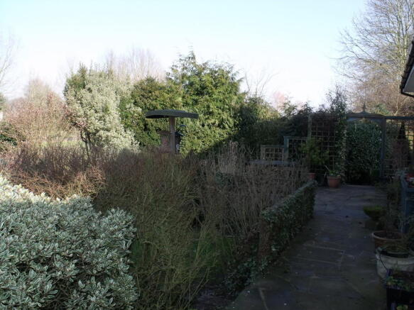 Photo 20