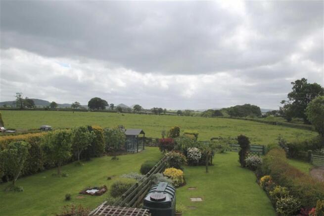 Lower Garden Area