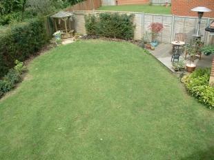 Garden Shot 4