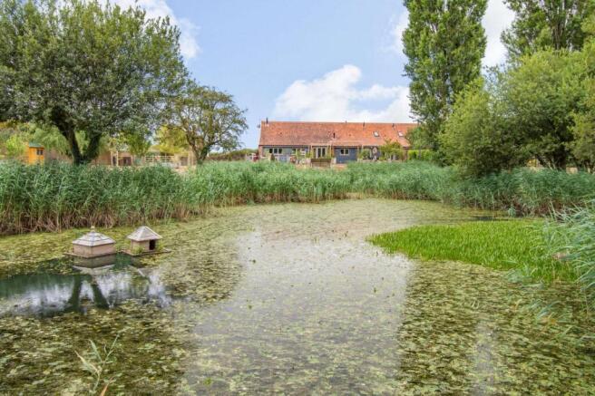 Pond